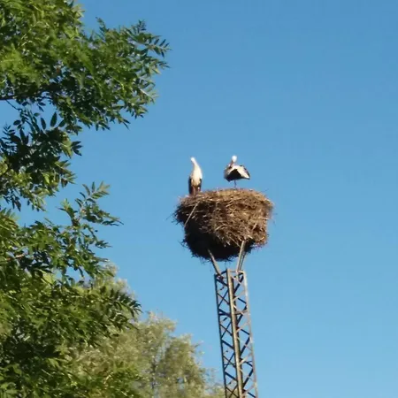 빌라 Storchenblick Ludershagen