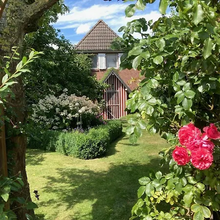 Storchenblick
