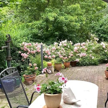 Storchenblick Ludershagen